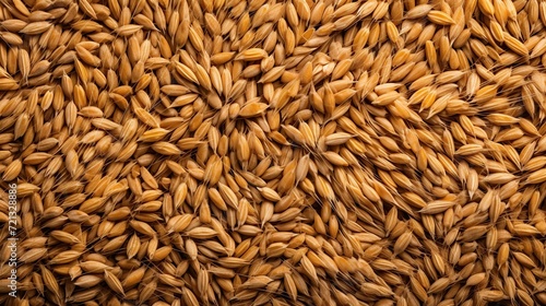 Top and flat view. Close-Up Textured Background Of Uncooked Whole Spelt grains.