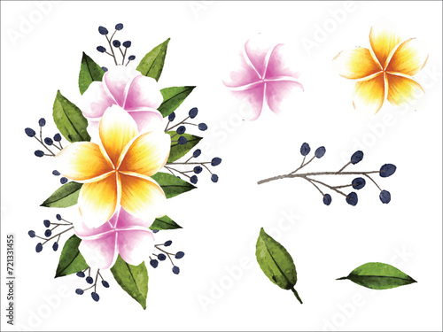 Watercolor hand painted frangipani floral bouquet with isolated flowers and leaves