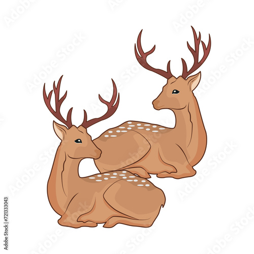 deer animal illustration