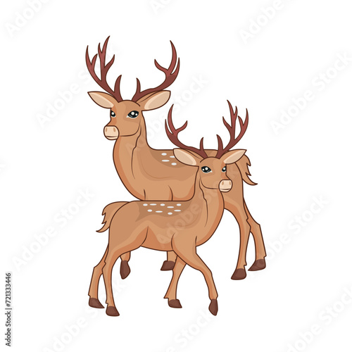 deer animal illustration