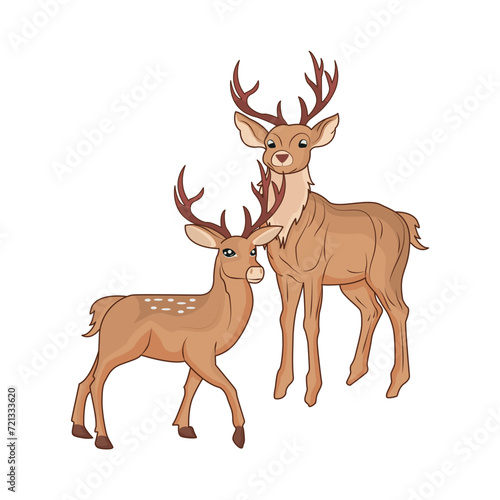 deer animal illustration