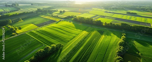 Farmland unfolds beneath in an aerial panorama  depicting the agricultural expanse from above.