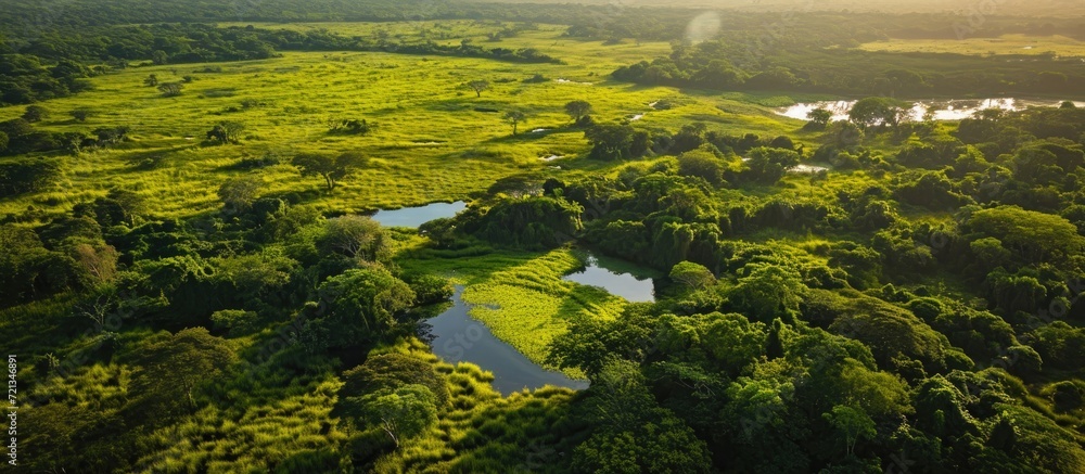 Breathtaking birds-eye perspective of lush Pantanal greenery and expansive fields.