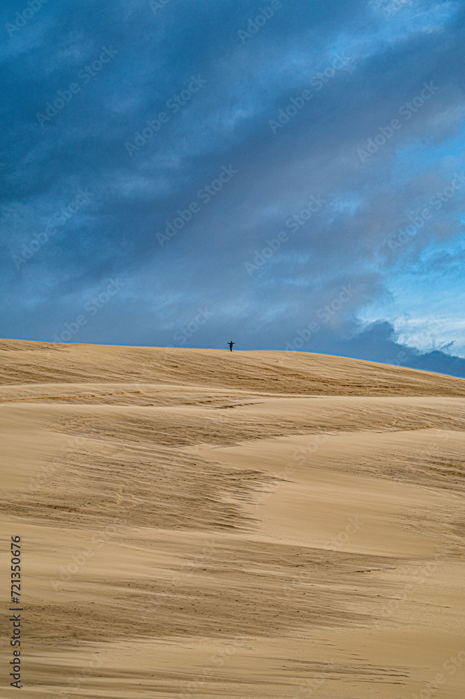Seul au sommet de la dune