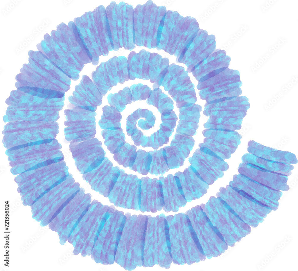 ammonite or nautilus shell fossil watercolor digital art painting