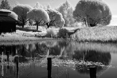 Canvastavla black and white landscape with trees at the water's edge, reflections on the wat