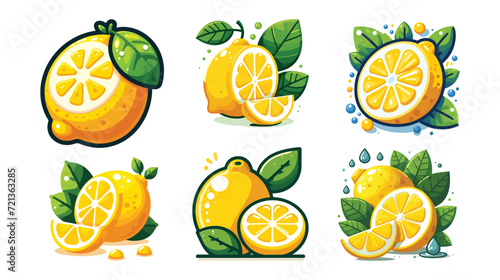 Set of Lemon fruit vector illustrations with Isolated on white background watercolor vector illustrations. Lemon, lime, pomelo.