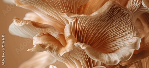 Mushroom texture creates a captivating background for wallpapers.