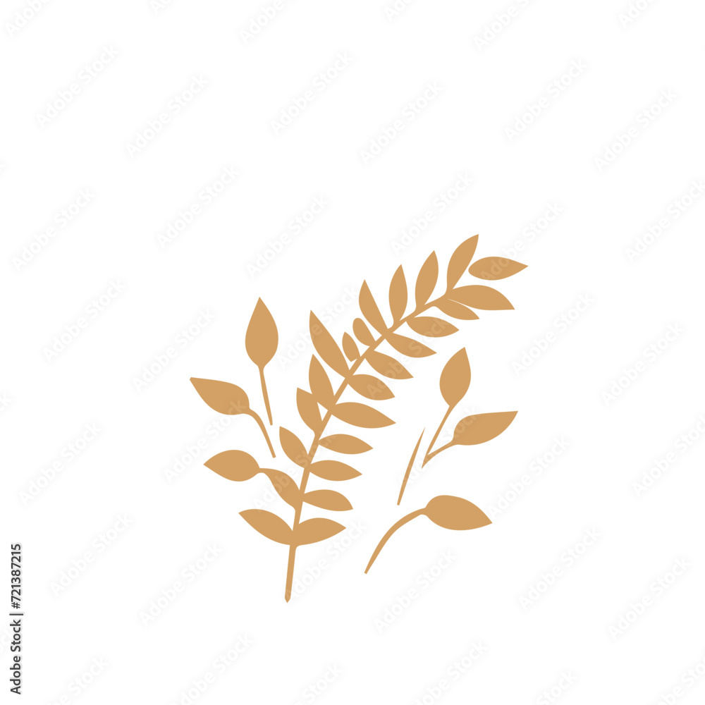 Flourish design set element vector Flourish design set element vector