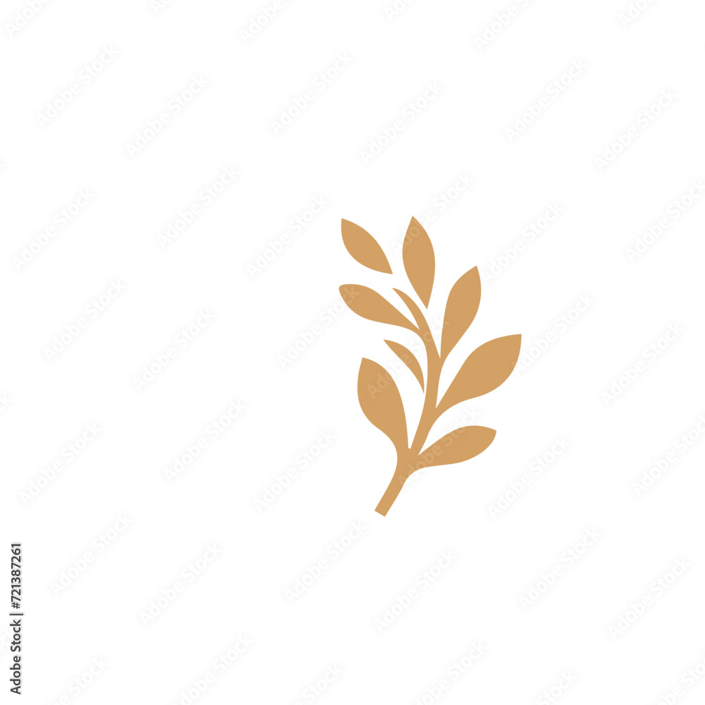 Fototapeta premium Flourish design set element vector