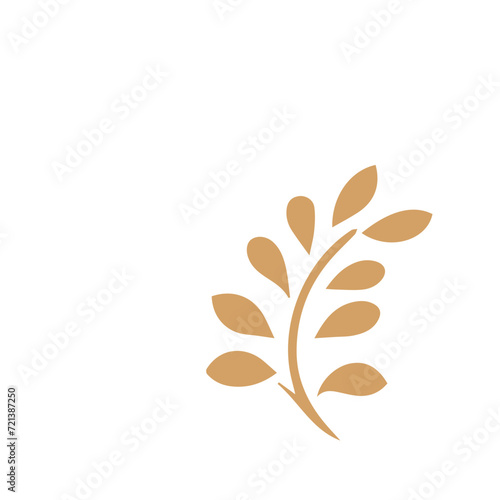 Flourish design set element vector