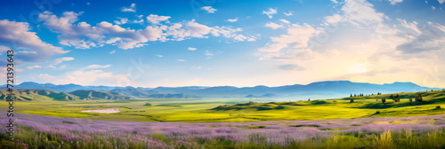 expansive meadows , where gentle breezes sway through wildflowers and tall grass. © Maximusdn