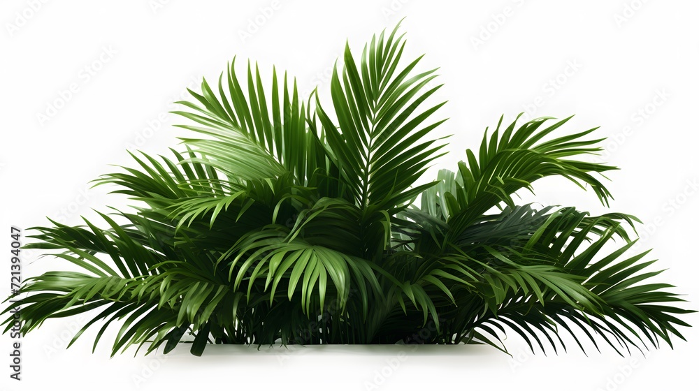 Realistic palm leaves shrubs corner on transparent backgrounds 3d rendering png