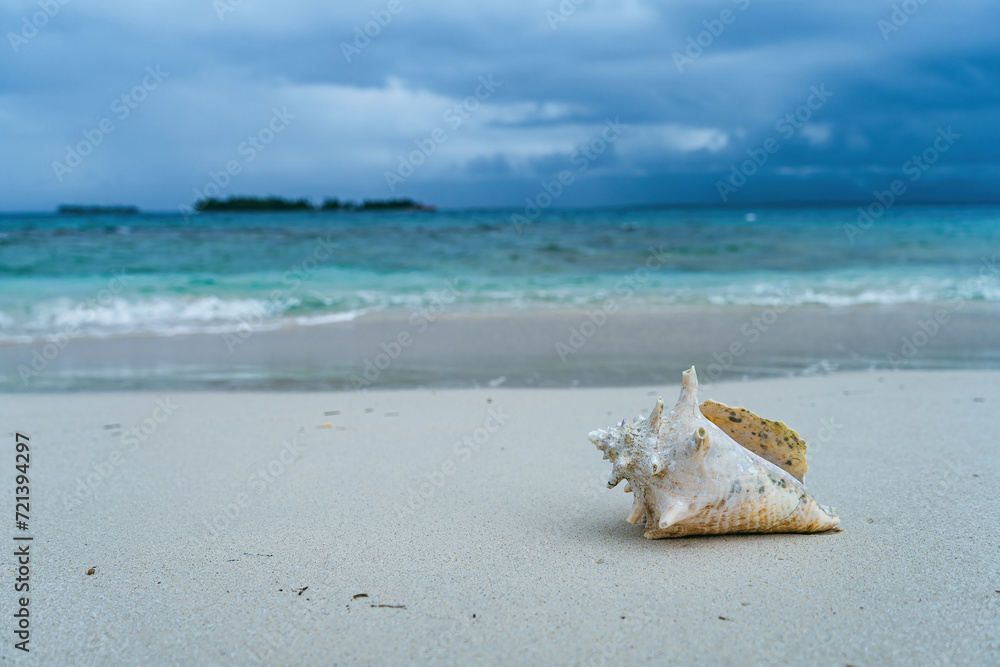 Side view of spiky twisted shell on white caribbean beach of San Blas islands in Panama with light blue ocean and waves Side view of spiky twisted shell on white caribbean beach of San Blas islands in Panama with light blue ocean and waves