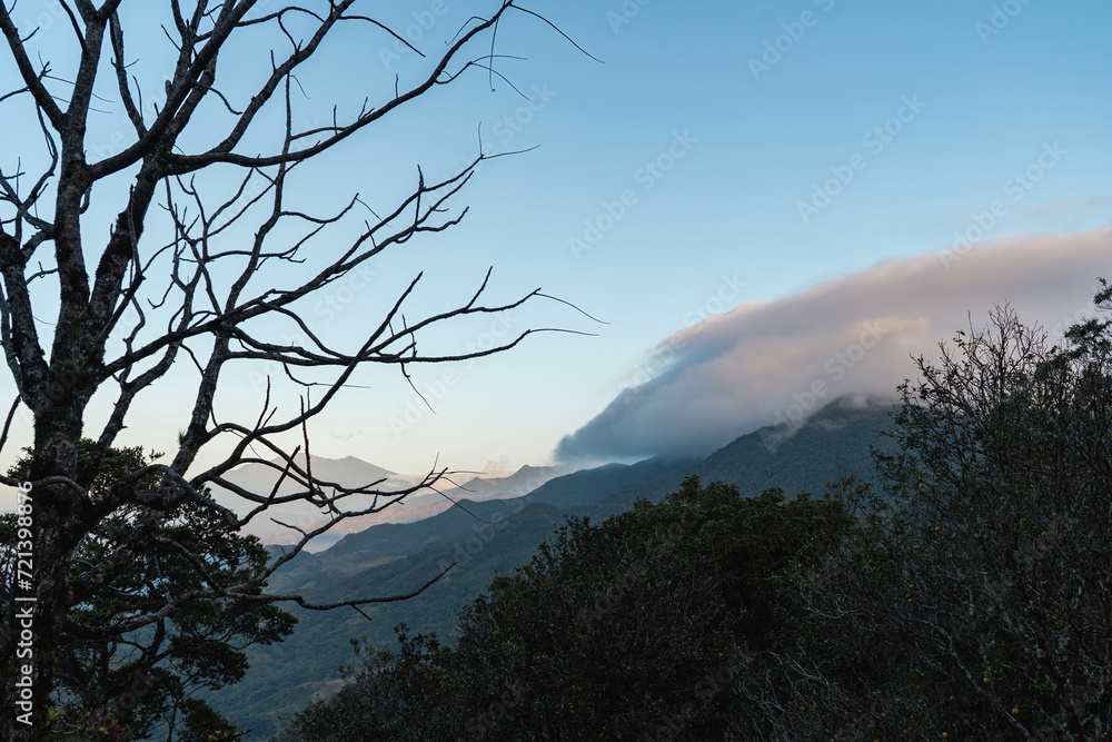 Fototapeta premium Landscape of Panama jungle mountains with clouds at sunrise with dead tree branches in foreground