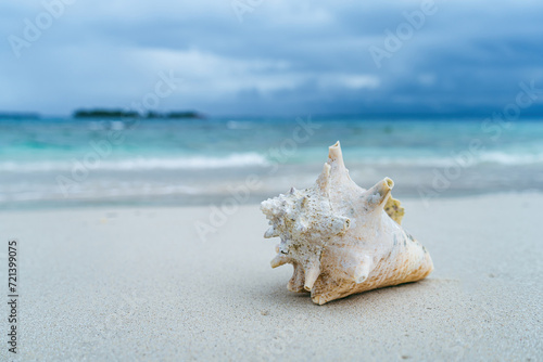 Fototapeta Naklejka Na Ścianę i Meble -  Macro front view of spiky twisted shell on white caribbean beach of San Blas islands in Panama with light blue ocean and waves