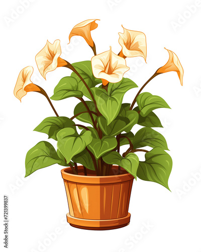 Illustration of a morning glory flower in a pot isolated on transparent background photo