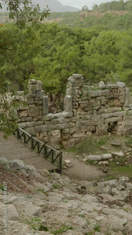 Vertical video. Panorama of the amphitheater in the forest, the ancient Lycian city of Phaselis. Vertical video. Panorama of the amphitheater in the forest, the ancient Lycian city of Phaselis.