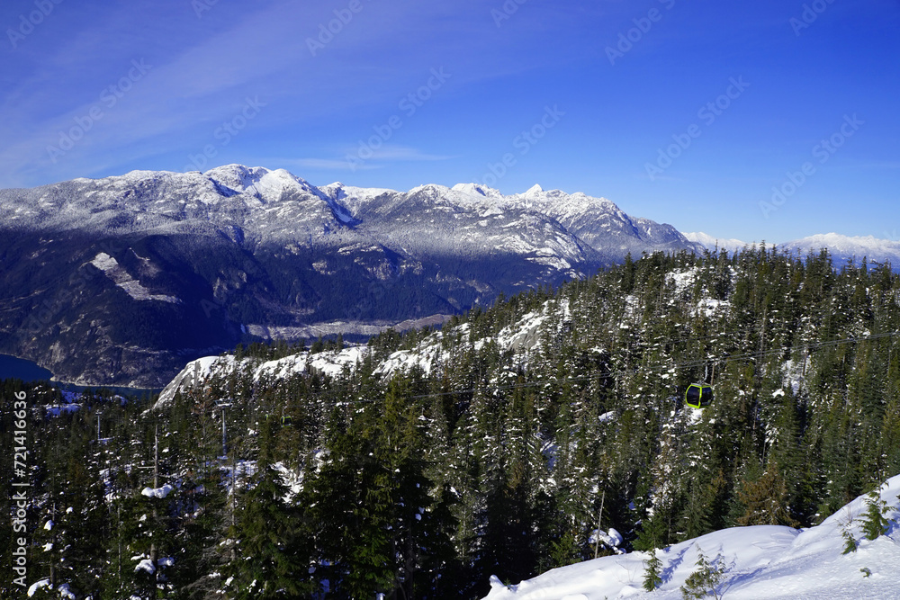 Mountain forest in the winter with snow-capped mountains in the distance
