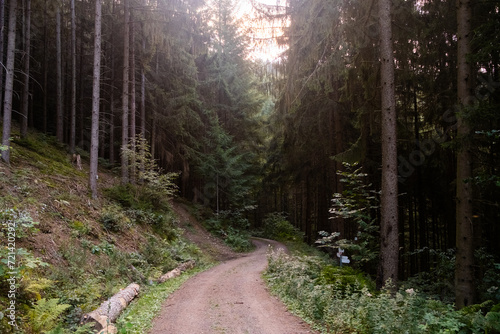 Black Forest Landscape, Germany Travel
