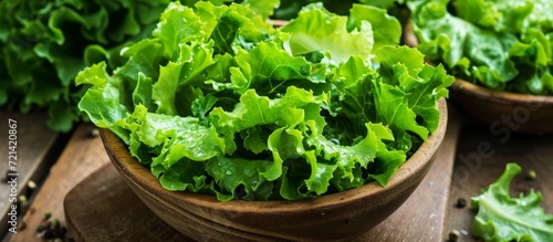 Fresh Green Lettuce Salad with Crisp Leaves - A Refreshing Green Delight