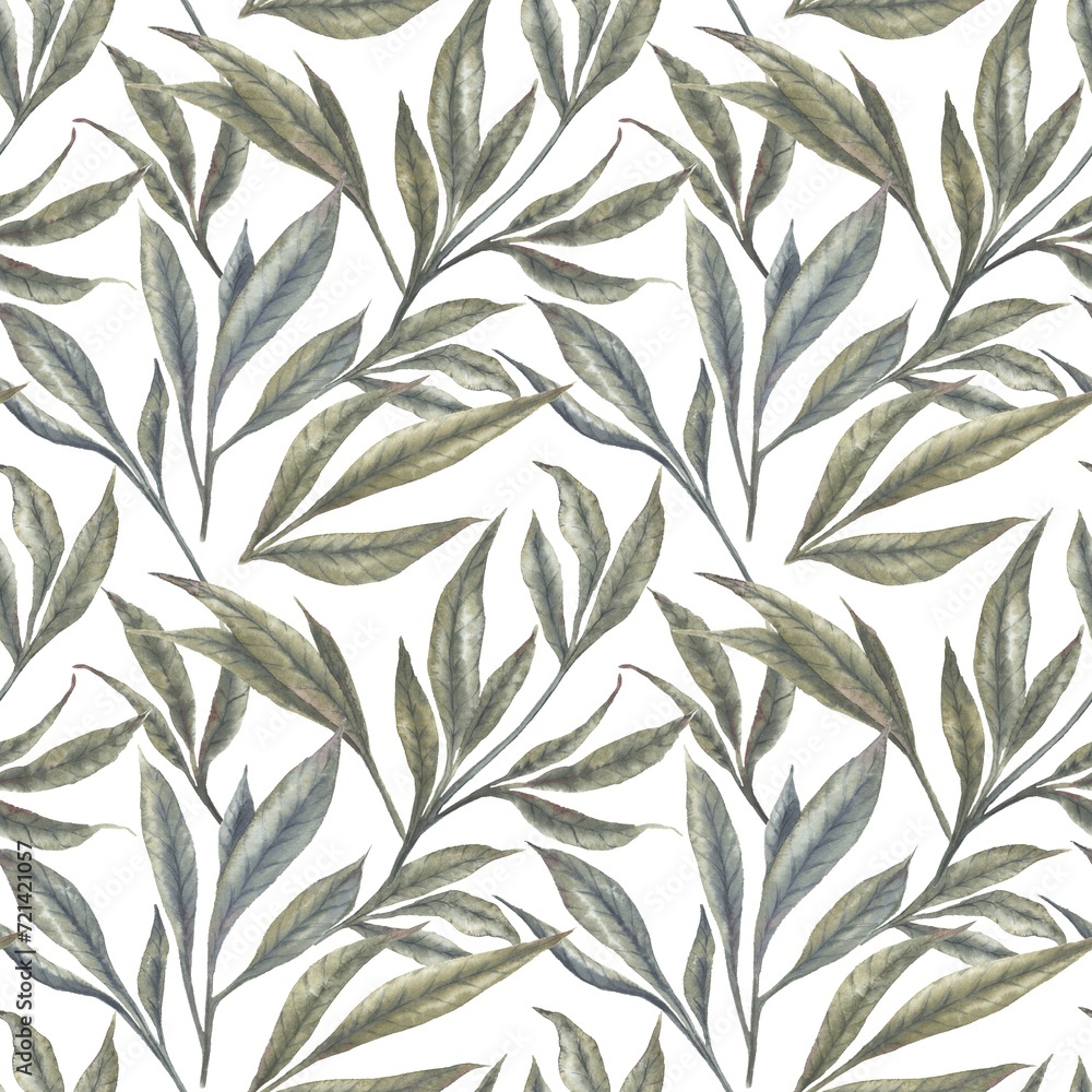 Green peony lush leaves. Hand painted watercolor floral seamless pattern with the white background.