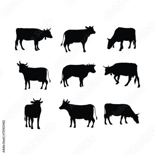 Set of cows. Black silhouette cow isolated on white. Hand drawn vector illustration.