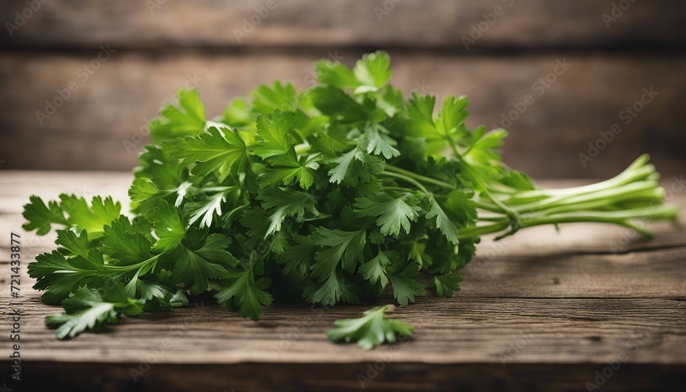 freshly picked parsley on an old wooden table
freshly picked parsley on an old wooden table