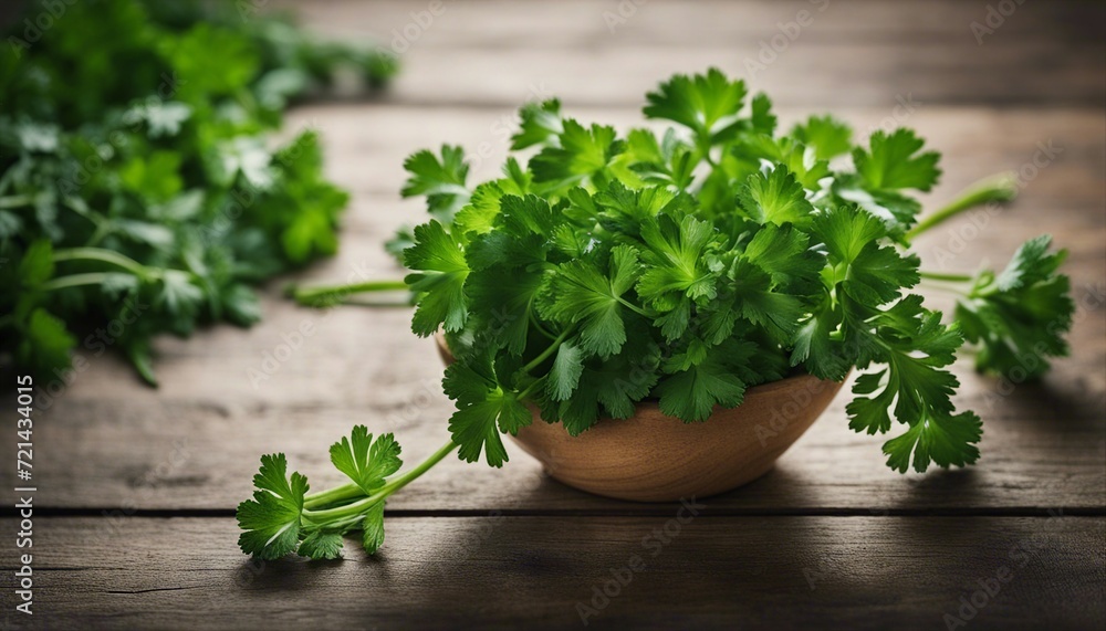 freshly picked parsley on an old wooden table
freshly picked parsley on an old wooden table