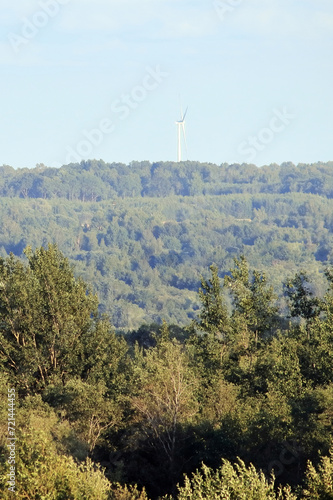 wind turbines behind the forest