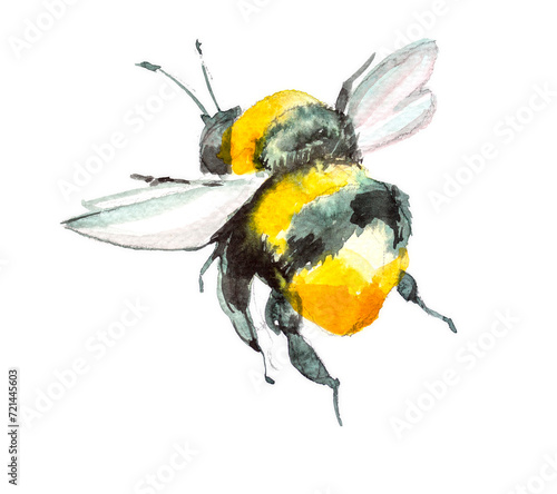Watercolor bumblebee illustration. Bee painting. Insect design.Pollinator clipart. Little bee artwork.Nature concept. © Victoria