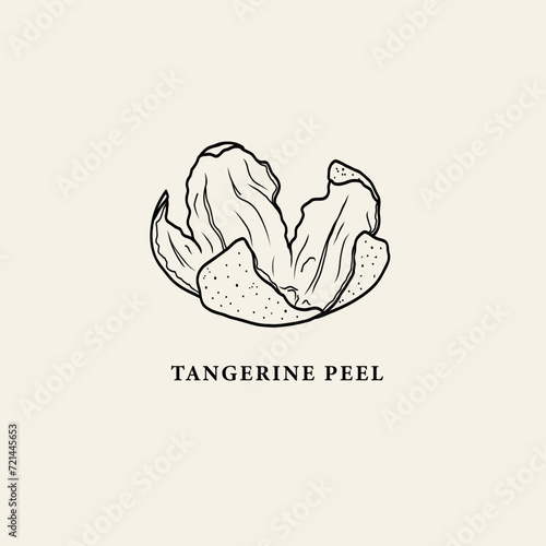 Hand drawn tangerine peel illustration