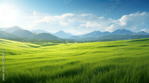 a wide big grass field in the mountains