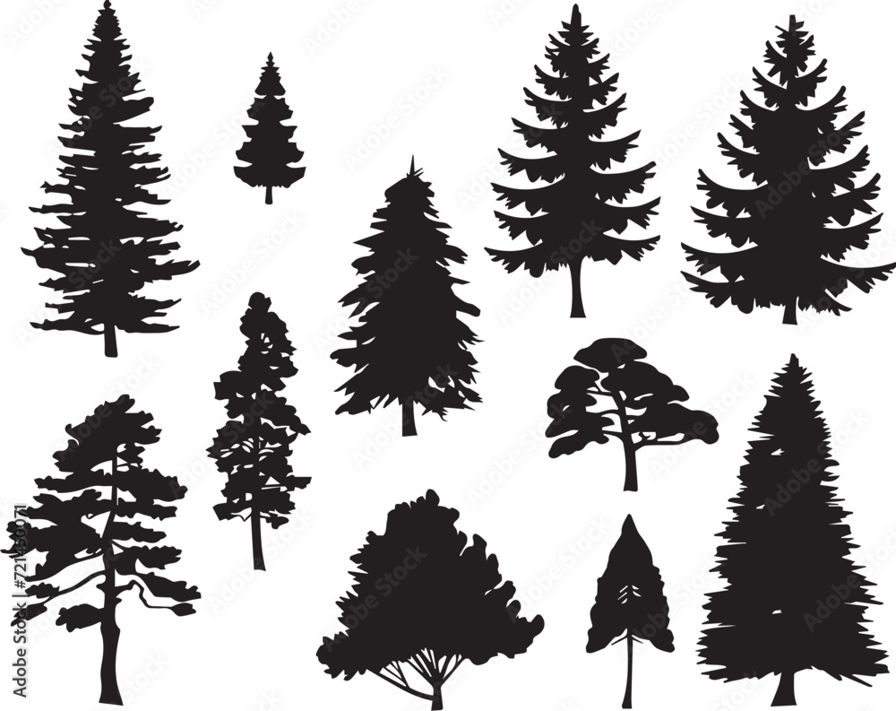 Obraz premium Set Trees. Hand drawn vector illustration