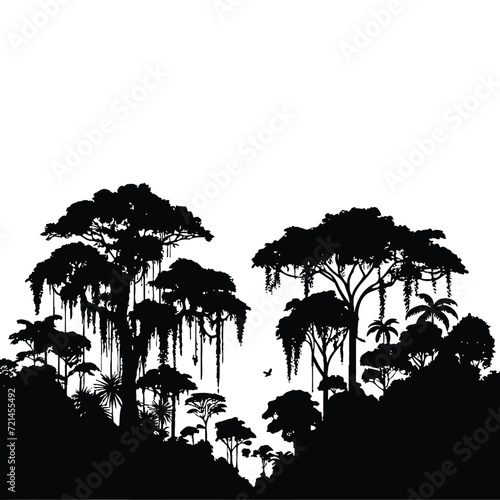 Tropical Rainforest Canopy Silhouette