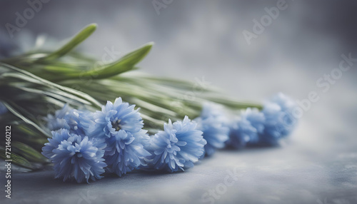 Spring blue flowers with leaves on textured grey background. 