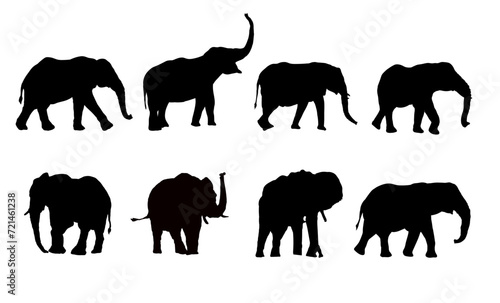Set of silhouette of elephant, elephants - vector illustration