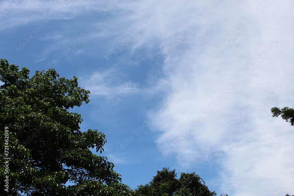 Fototapeta premium clouds and trees