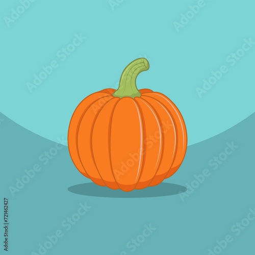 Pumpkin vegetable on a blue background. Healthy food design. Vector illustration