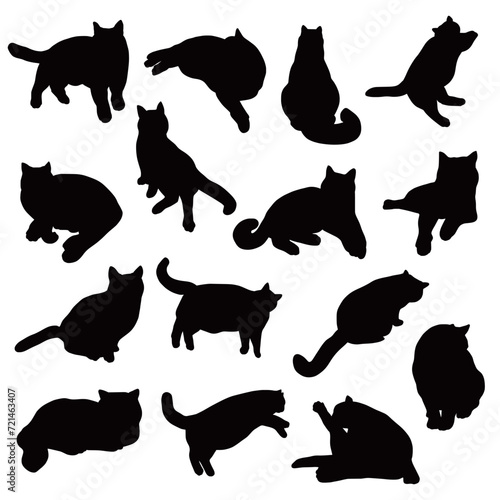Set of domestic cat silhouettes.