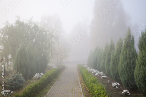 Foggy alley, like in the horror movie Silent Hill