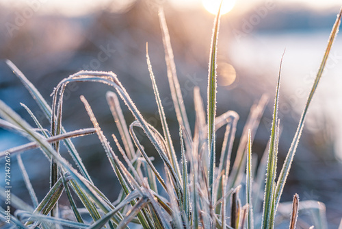 Calm frozen winter scene. Amazing nature background. Frozen grass at sunrise closeup. Winter wonderland. Idyllic nature in warm sunlight and blurred frozen icy lake surface. Inspire sunrays sunset © icemanphotos