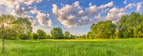 Spring panoramic landscape. Sunset colorful sky with fantasy fluffy clouds over green foliage peaceful field. Tranquil springtime nature. Sunrays warm sunlight natural white wildflowers forest meadow