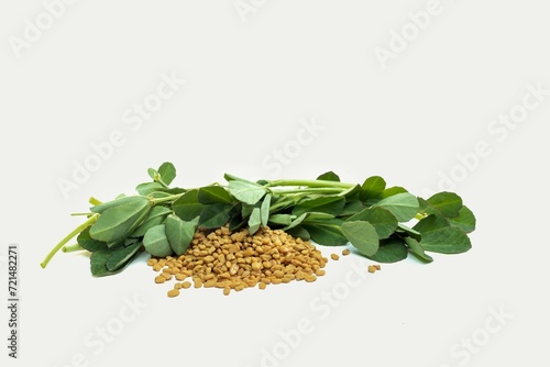 Closeup of Fenugreek Leaves or Methi Seeds Isolated in Horizontal Orientation with Copy Space