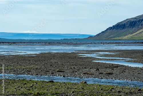 Beautiful marsh landscape - Westfjords of Iceland during summer