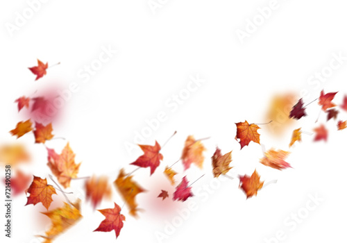 autumn leaves blowing in the wind png overly on white background