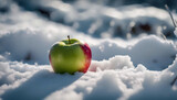 Apple on Snowy Ground