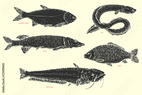Set hand draw river fish in sketch cartoon style. Pike, eel, catfish, carp. Vector illustration.