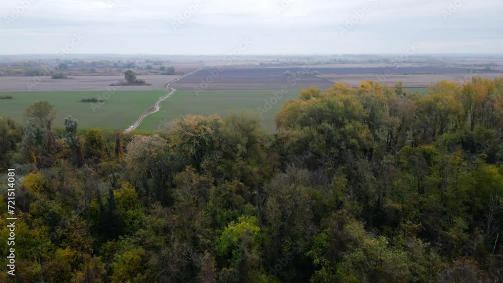 Drone flies from woods towards plain cultivated fields in cloudy day Drone flies from woods towards plain cultivated fields in cloudy day