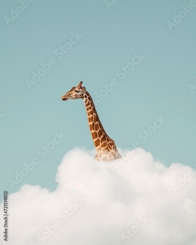 a giraffe head in the clouds, blue wallpaper background. minimalist design. calming rhythm  © Michael